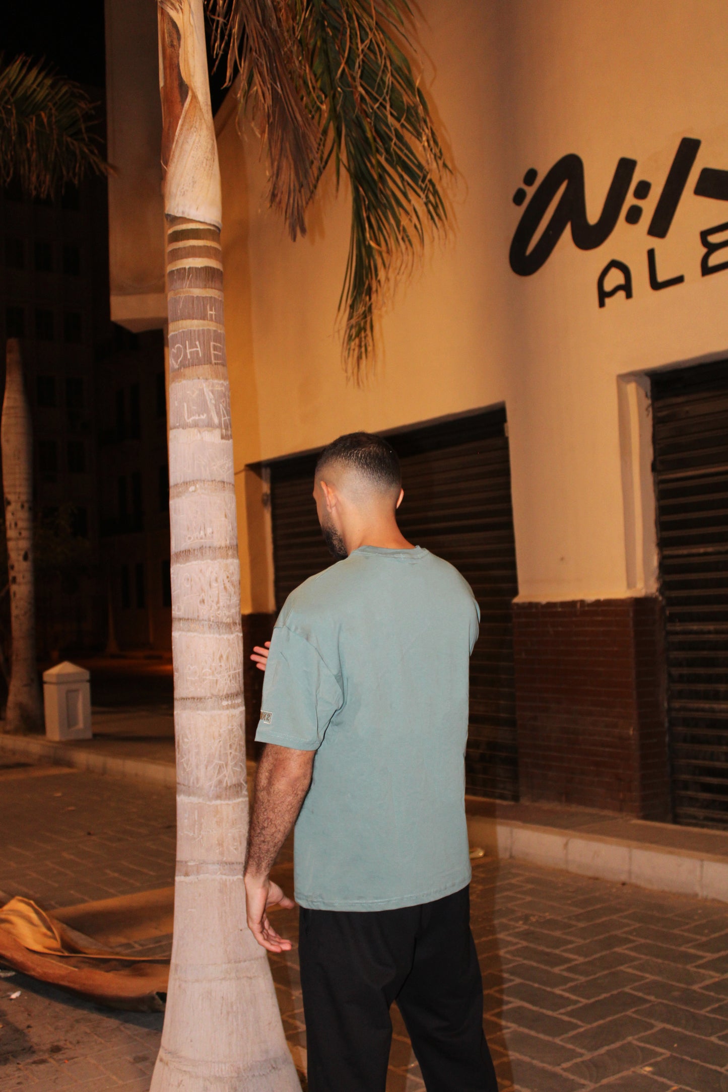 BAZIKZ SAGE GREEN OVERSIZED TEE
